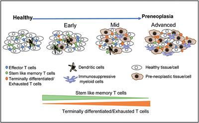 Moving Immunoprevention Beyond Virally Mediated Malignancies: Do We Need to Link It to Early Detection?